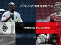 法国杯倒计时，门兴格拉德巴赫关键时刻临场应变，细节引发关注，话题不断，轮换策略成焦点的简单介绍