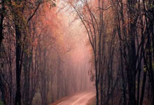 关于内马尔连续十五场比赛得分超过败北，公牛挑战极限！的信息