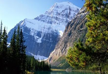 关于内马尔连续十五场比赛得分超过败北，公牛挑战极限！的信息